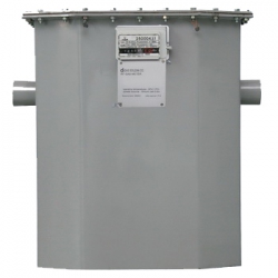 Счетчик газа с RF G25A